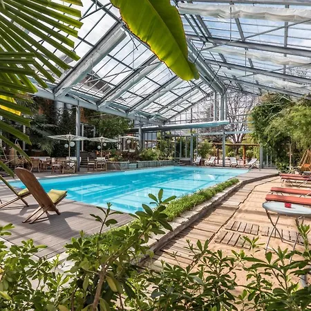 Hotel Bamboo-2